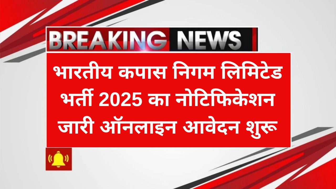 CCI Recruitment 2025