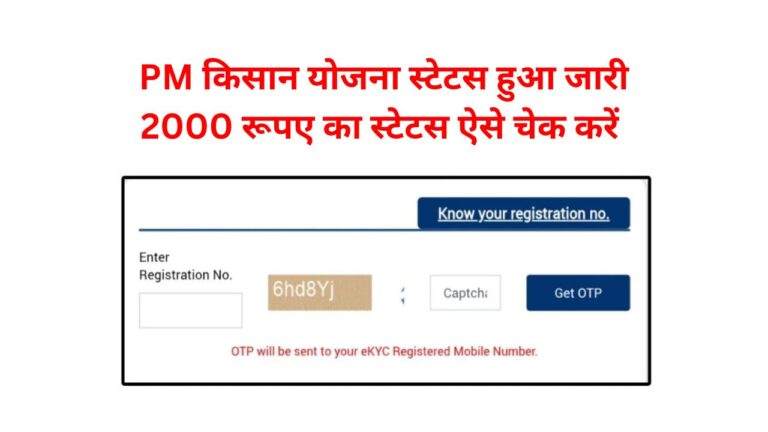 PM Kisan Beneficiary Status
