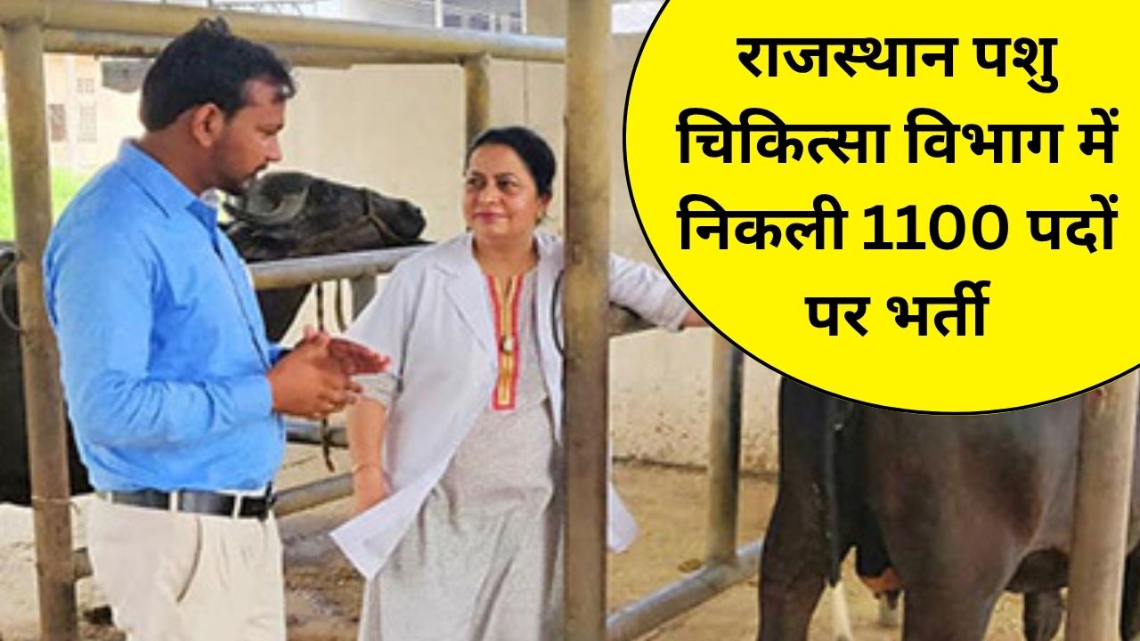 RPSC Veterinary Officer Recruitment 2025